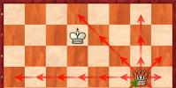 قواعد اللعبة للاعبي الشطرنج المبتدئين كيفية لعب الشطرنج مع معرفة القواعد