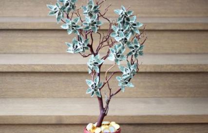 DIY pul ağacı